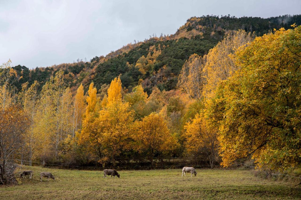 Casa Rural Besoli Areu Exteriér fotografie